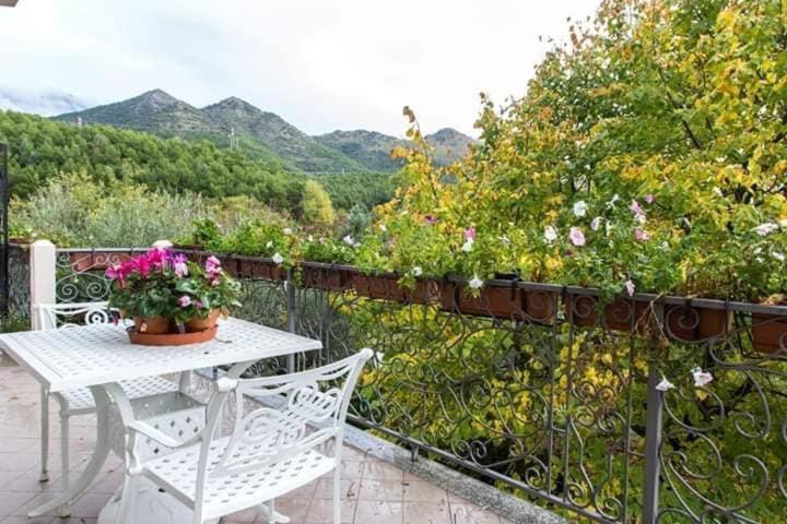 B&B Sant'Andrea Морано-Калабро Екстер'єр фото